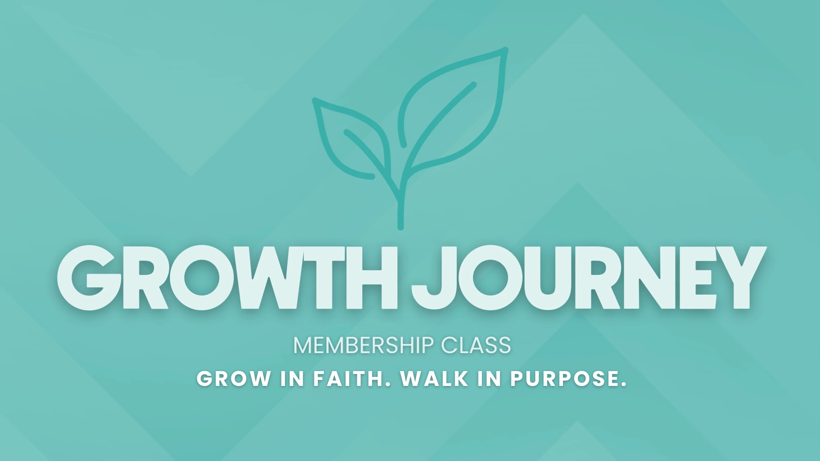 Growth Journey